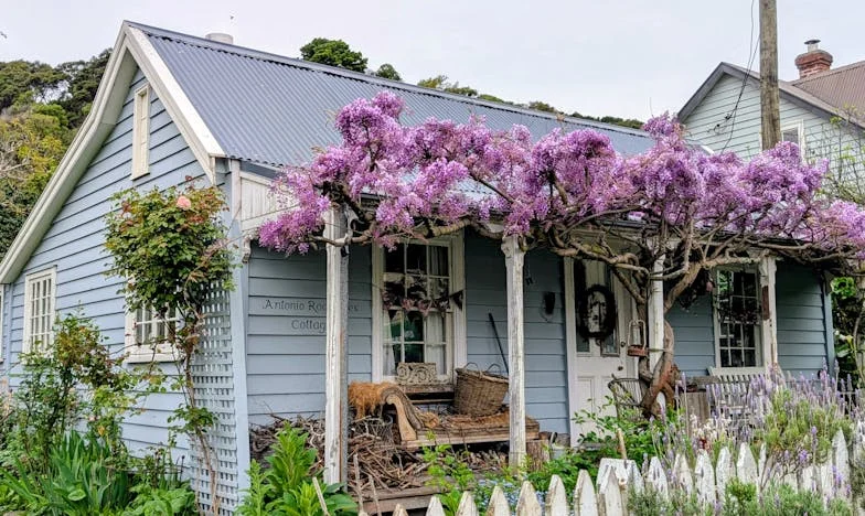 Nemir u vrtiću: Tajni život tete Snježane