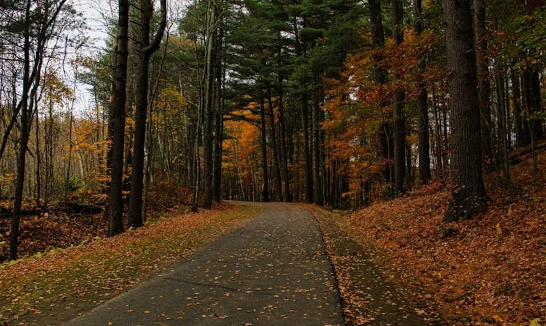 Odbila sam čuvati unuku: Sad me vlastita porodica ne prepoznaje
