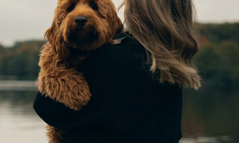 Oporuka koja mi je slomila srce: Sve je ostavio njoj, a ja sam ostala praznih ruku