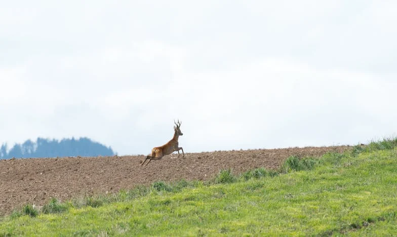 Predala sam unuka bolesnom sinu – danas znam da sam pogriješila