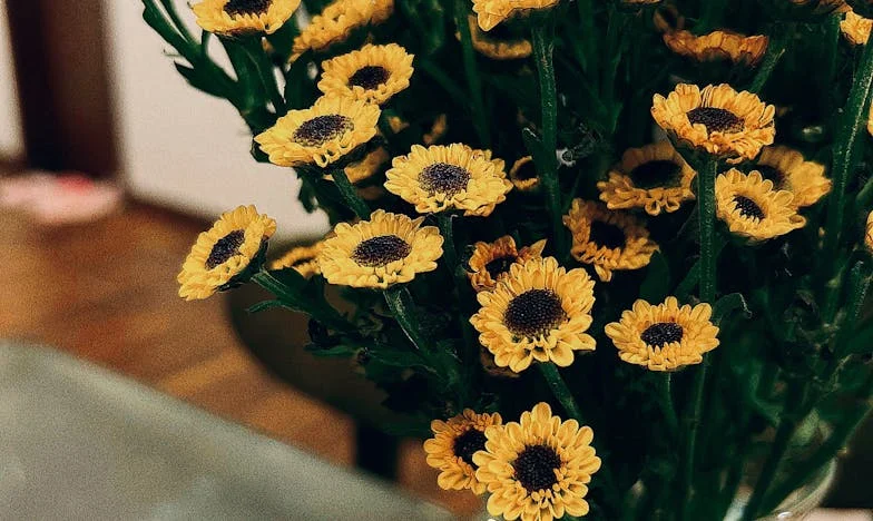 Rekla sam gospođi Mariji da više ne mogu biti njezina djevojka za sve: Moja istina koju sam predugo skrivala