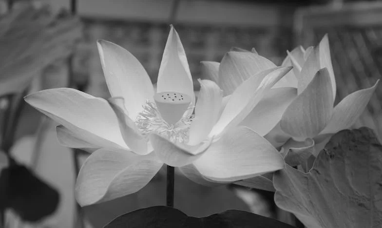 Ruka koja ne miluje: Anina borba između straha i slobode