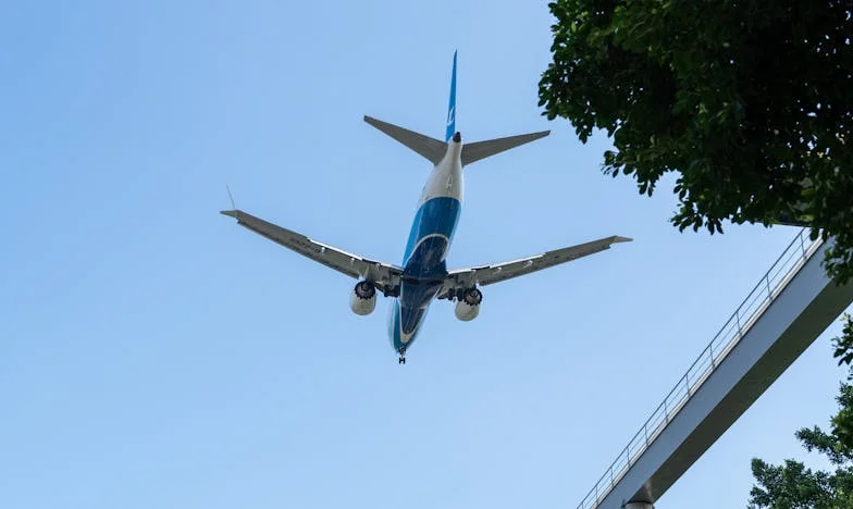 Skršeno povjerenje: Moja priča o obitelji, nasljedstvu i boli