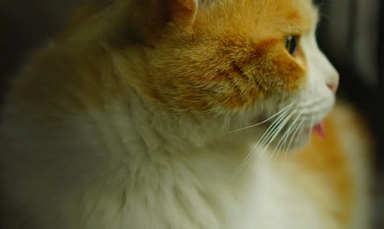 Sve za nju: Žrtva jedne kćeri