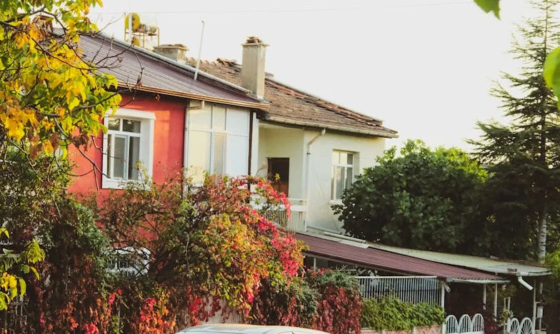 Vjera protiv straha: Kako sam skupila snagu da se suprotstavim svom zetu