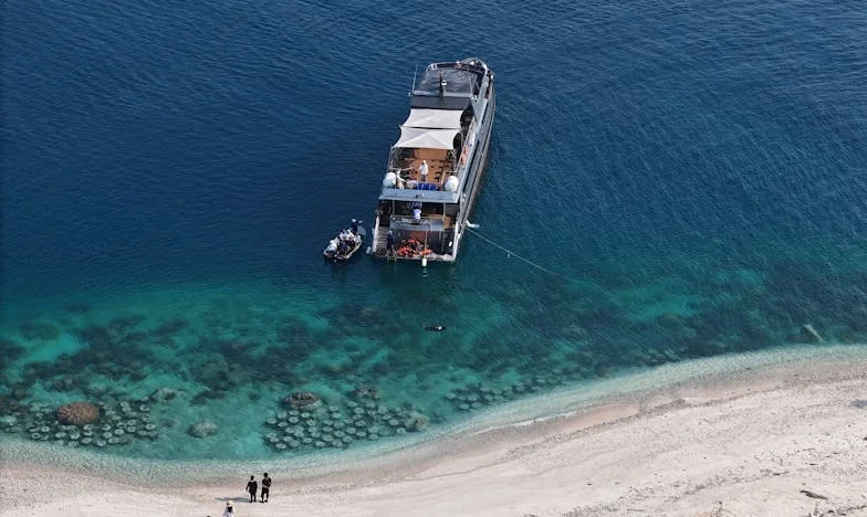 Zatvorena vrata, otvorene rane: Priča o snovima koji su razbili moju porodicu