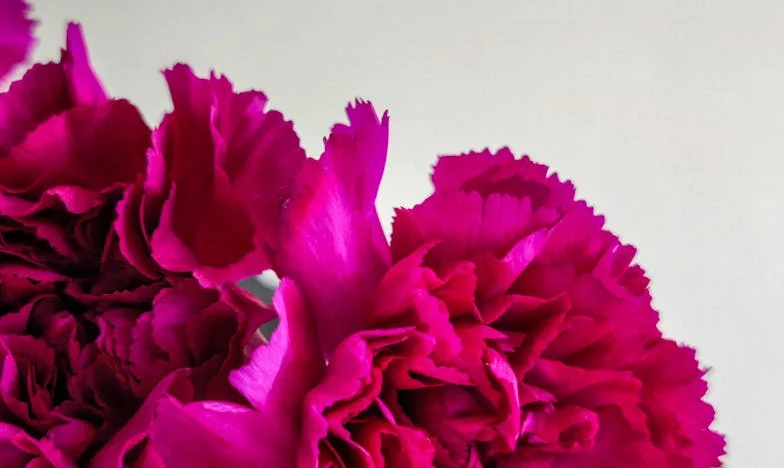 Bijeg iz sale: Kako sam pobjegla s vjenčanja s najboljim prijateljem