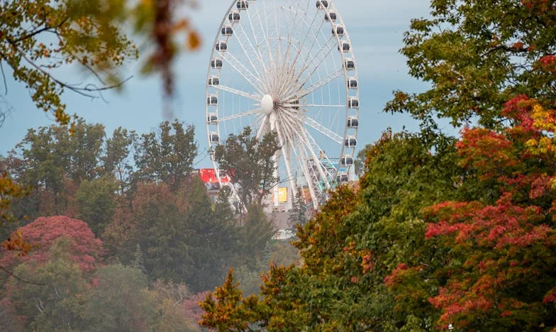 Četrnaest tjedana – priča o Kamilinoj odluci