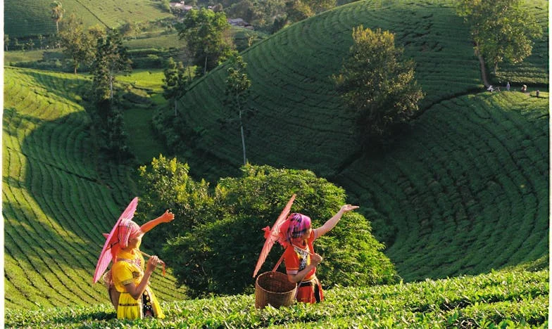 Jedna večer koja mi je promijenila život: Istina koju nisam htjela vidjeti