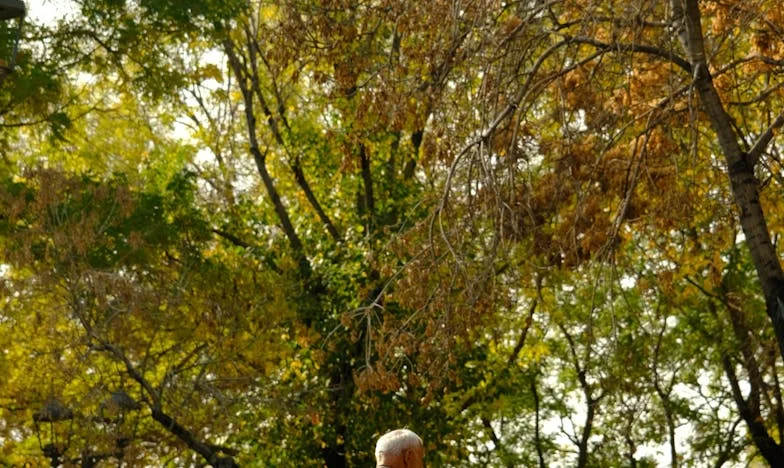 Jutro kad je sve puklo: Baka Ruža i tajna iz dvorišta