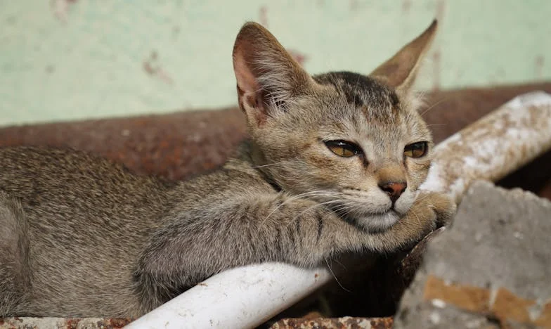 Kad ljubav nestane: Priča o izdaji, oprostu i novom početku
