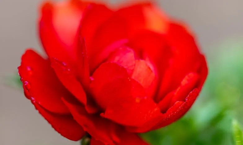 Kad ljubav postane prijetnja: Ispovijest jedne majke