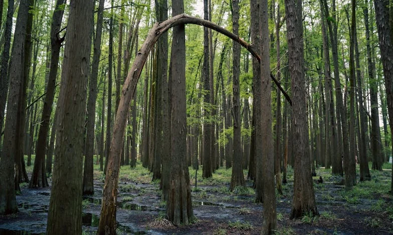 Kad me kćerka zove samo zbog novca: Srce majke između tišine i nade