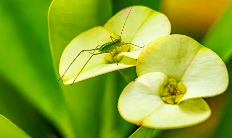 Kad sam zamolila svekrvu za pomoć, a ona izabrala sebe: Priča o razočaranju i obiteljskim granicama