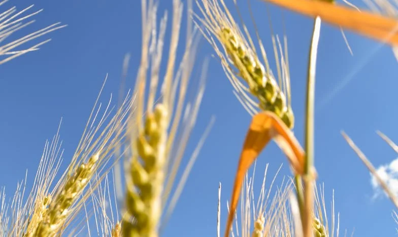Kad se povjerenje slomi: Noć kad je sve nestalo