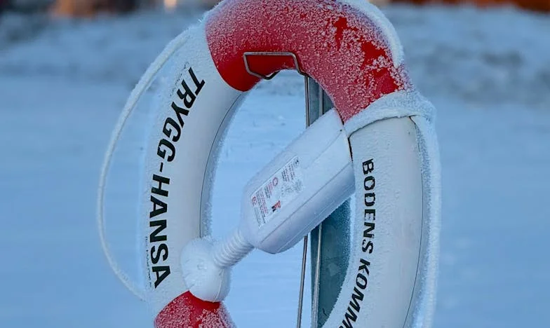 Krik Lejle: Kada Glas Kćeri Spasi Majku