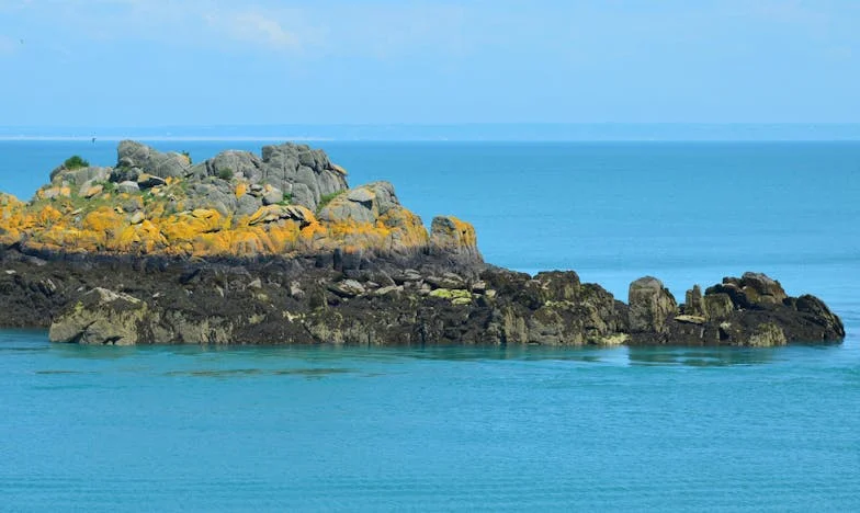 Moj auto, moja porodica i tišina oprosta – priča o povjerenju, razočaranju i obiteljskim tajnama