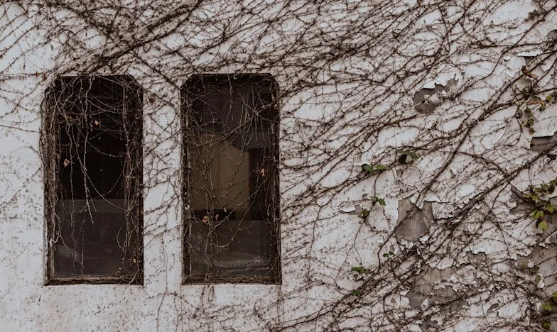 Moja kći više nije ona ista: Kad obitelj pukne zbog tuđeg utjecaja