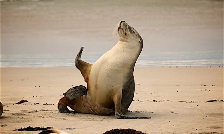 Na dan kad sam otišla u mirovinu, muž mi je rekao da odlazi drugoj