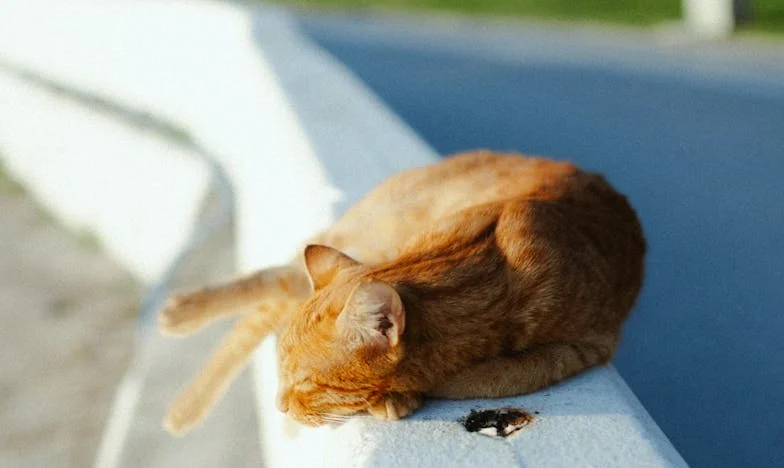 Na pragu šezdesete: Kad sam potražila prvu ljubav, otvorila su se vrata prošlosti