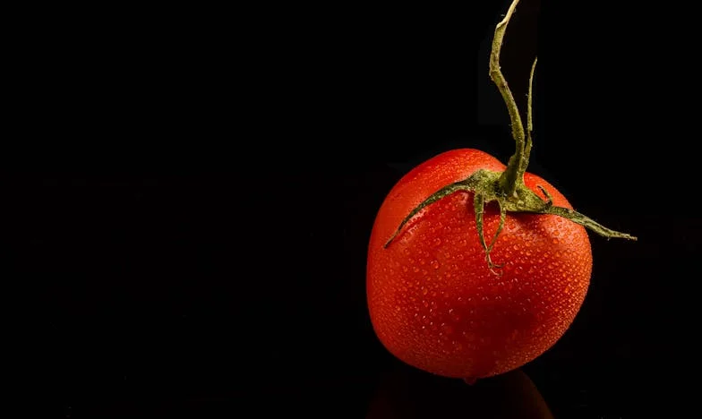 Nikad Dovoljno Dobra za Darija: Moja Borba s Ljubavlju i Predrasudama