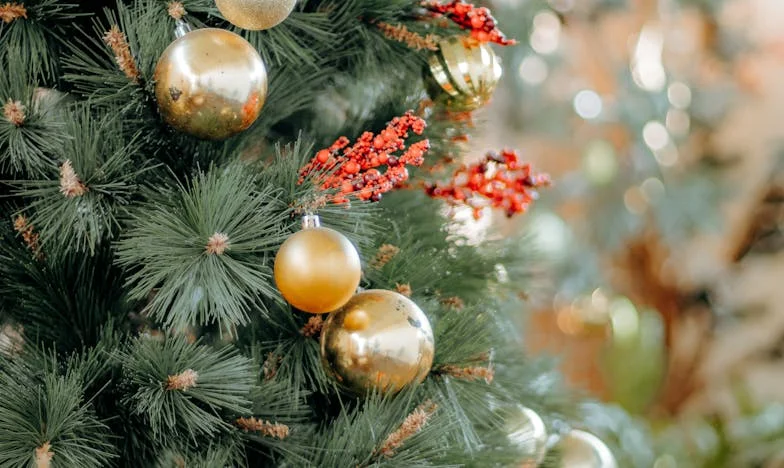 Novi početak: Kad se baka Mara uselila kod nas