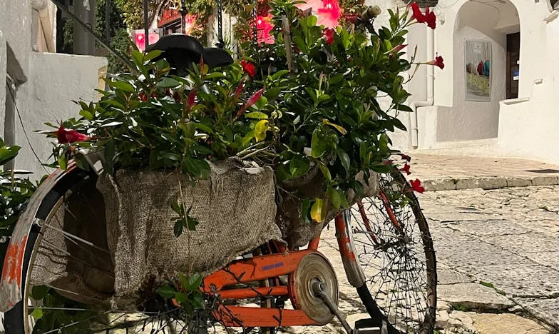 Odbijena kao pokvaren predmet: Priča Milice iz doma i žene koja nije mogla da je zaboravi