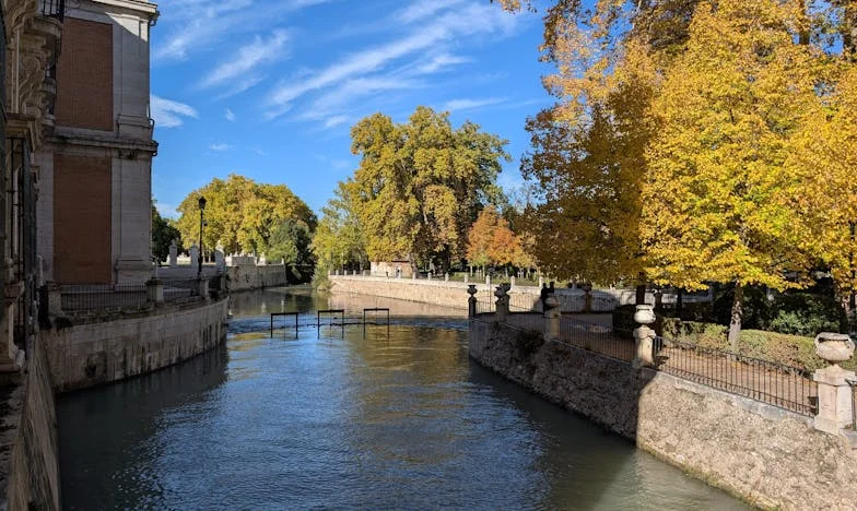 Odlazak bez povratka: Kad bolest razotkrije pravu istinu