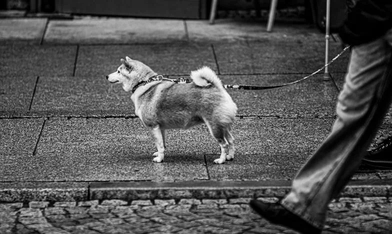 Posljednja odluka na raskršću: Je li novac vrijedan razbijanja obitelji?