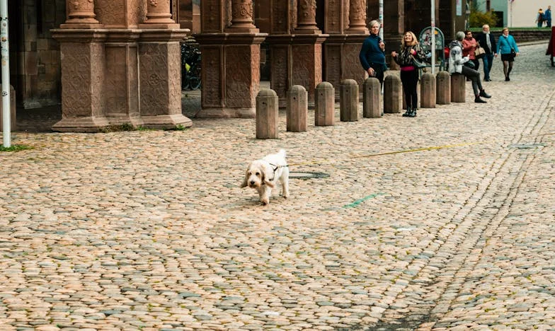 Razbijeno ogledalo: Priča o izdaji, borbi i ponovnom pronalasku sebe – ispovijest Lejle iz Sarajeva