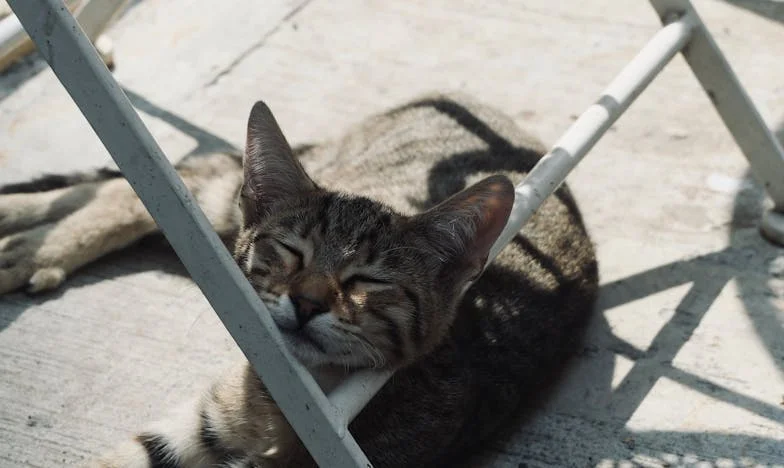 Saznala sam za njegovu prevaru dok sam ležala u bolnici: Moj život između bola i izdaje