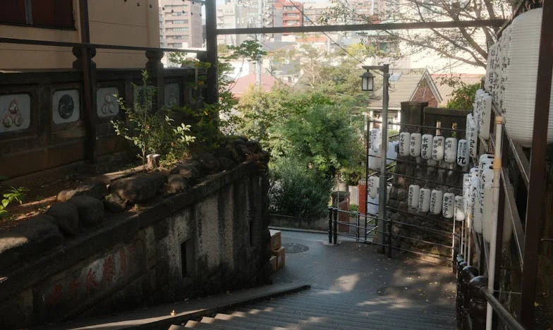 Srce između dva svijeta: Priča o gubitku i nadi