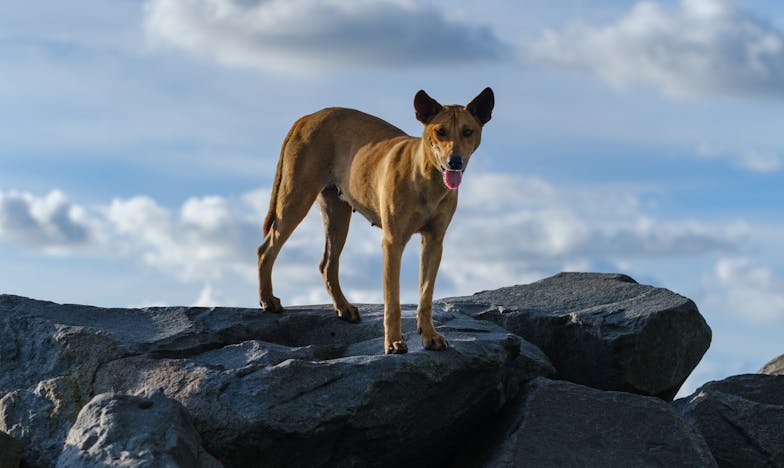Sutra ću sve reći: Ispovijest jedne snahe iz Sarajeva