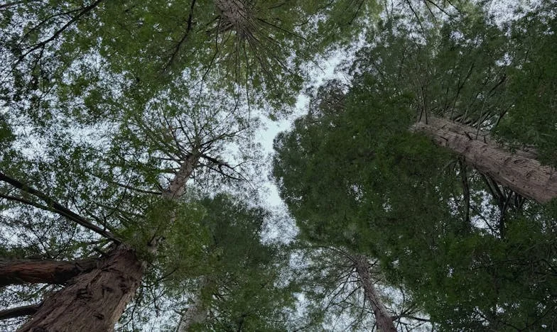 „Sutra pakirate svoje stvari i odlazite” – Priča jedne bosanske majke koja je napokon izabrala sebe