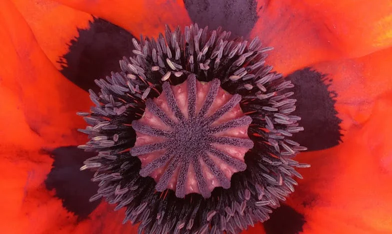 Sve dok ga ne ostavi, neće više dobiti ni kune od nas: Moja borba za kćerku Lejlu