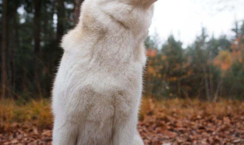 Tajno šifra koja je spasila moju kćer: Noć kad sam naučila što znači povjerenje