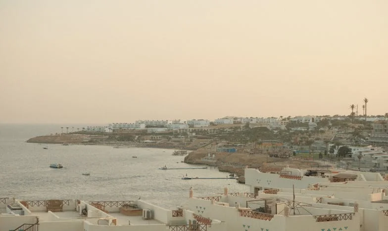 Tiha bol: Priča o Lejli, odgajateljici iz Sarajeva