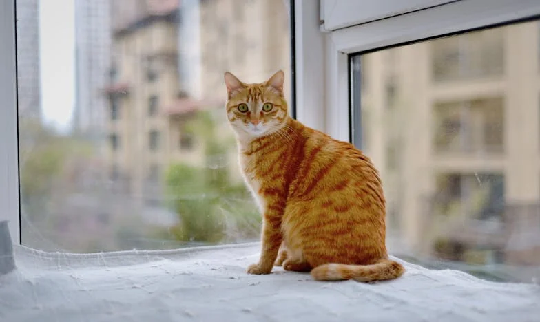 U sjeni pauze za ručak: Povjerenje na prodaju