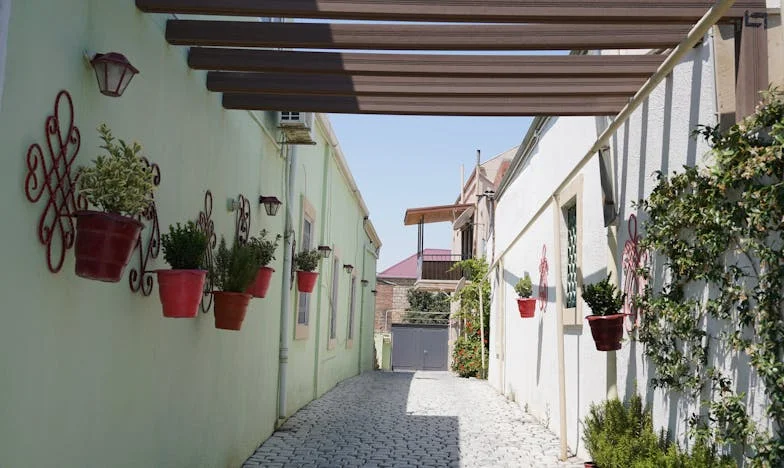 U sjeni svekrve: Šetnja koja je promijenila sve