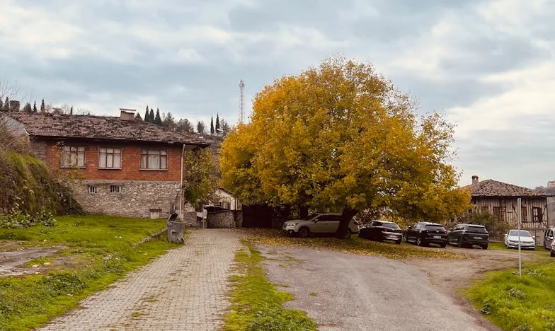 Ukradene godine: Priča o Lejli iz sarajevskog naselja