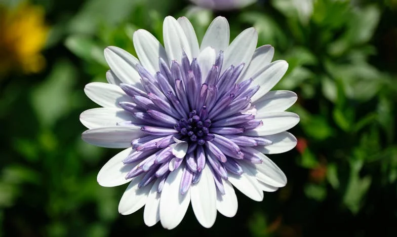 Vikend koji je trebao biti samo naš – Kad svekrva prijeđe prag (i granice)