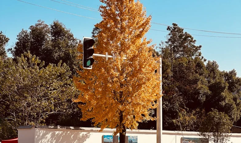 „Ako ne znaš održavati red, pakiraj se” – Kako je muževljeva opsesija uništila našu obitelj