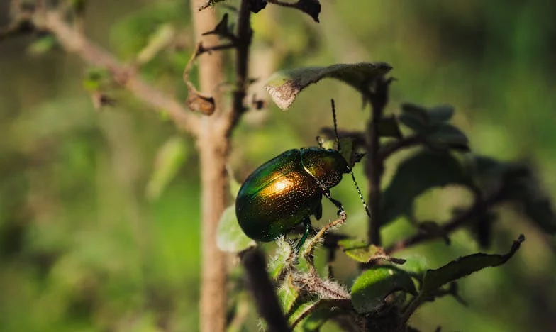 Biti strankinja u vlastitoj kući: Priča jedne snahe