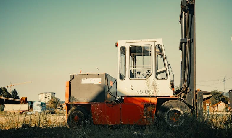 Crna ovca među blizancima: Priča o nevidljivoj sestri