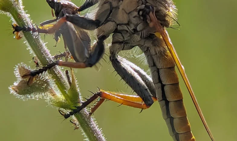 Gorki okus blagdana: Kad mama izabere nekog drugog