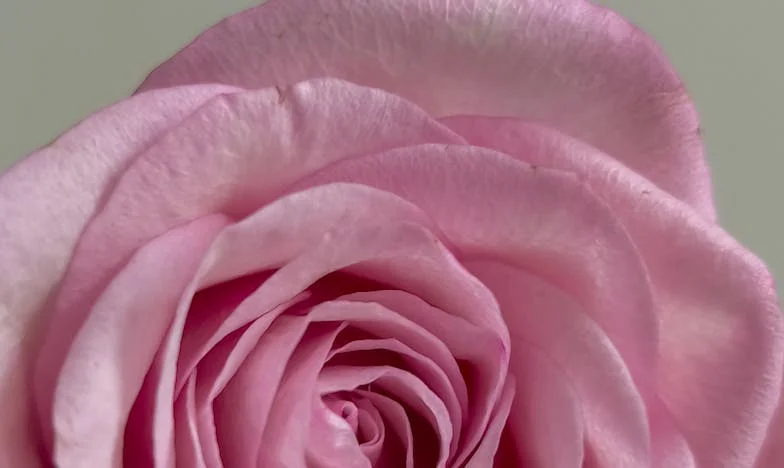 Ispod istog krova: Ljeto kad sam izgubila kćerku