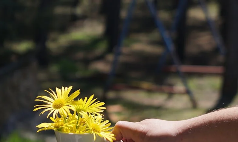 Kad krv postane neprijatelj – Moj brat, novac i borba za roditeljsku kuću