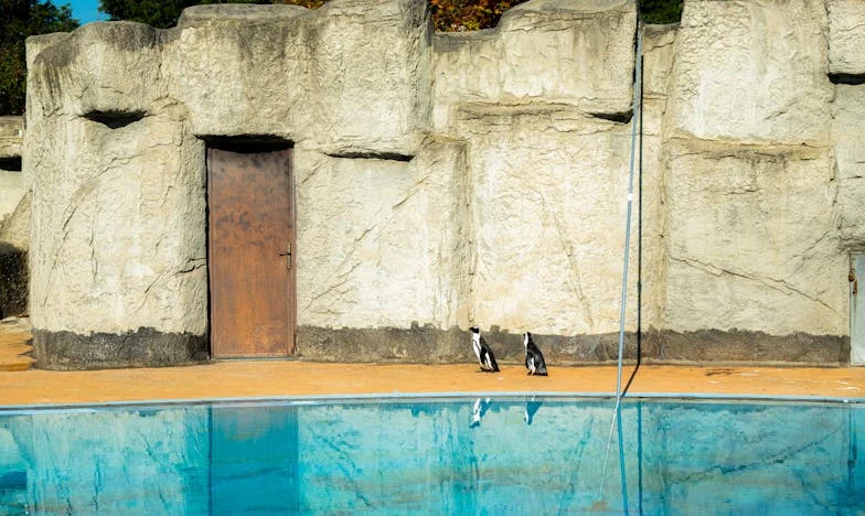 Kad prošlost pokuca na vrata: Povratak Edina