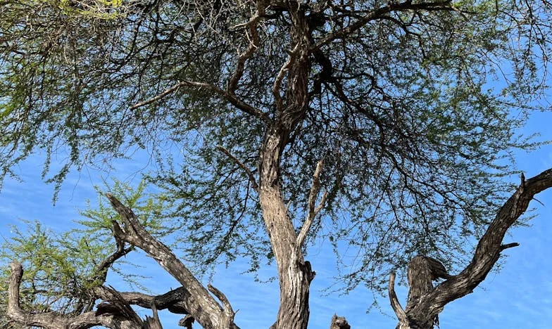 Majčina Pravda: Kad Ljubav Nije Dovoljna