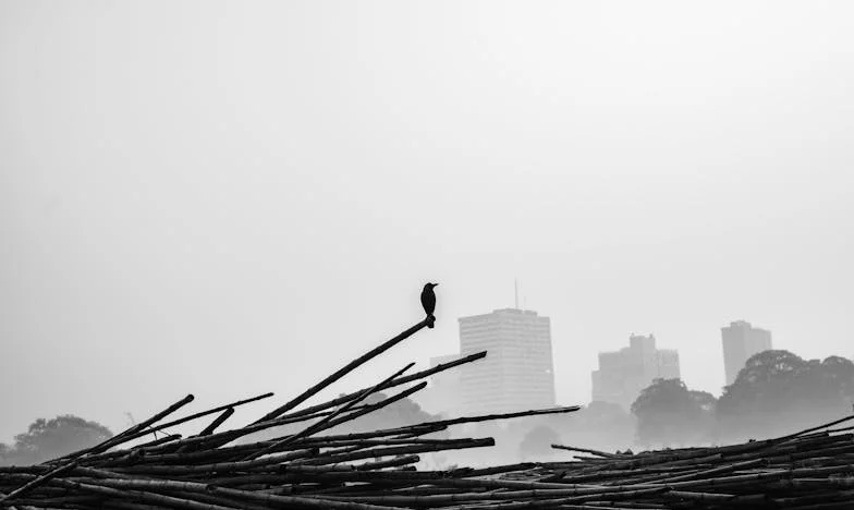 Majčina sjena: Priča o ljubavi, ponosu i neizrečenim riječima